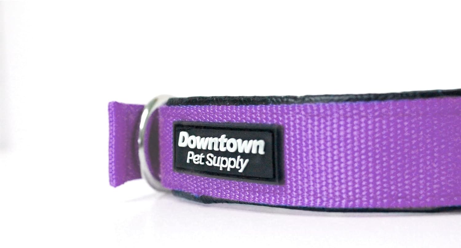 Collar para perros deluxe ajustable, grueso, (azul, rojo, negro, morado, rosa, pequeño, mediano, grande o extragrande) de Downtown Pet Supply,