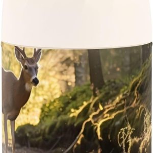 Forest Jungle Green Deer – Tarro de comida aislado para niños y mujeres, con cuchara, de acero inoxidable, termo de 17 onzas líquidas, contenedor de Forest Jungle Green Deer – Tarro de comida aislado para niños y mujeres, con cuchara, de acero inoxidable, termo de 17 onzas líquidas, contenedor de