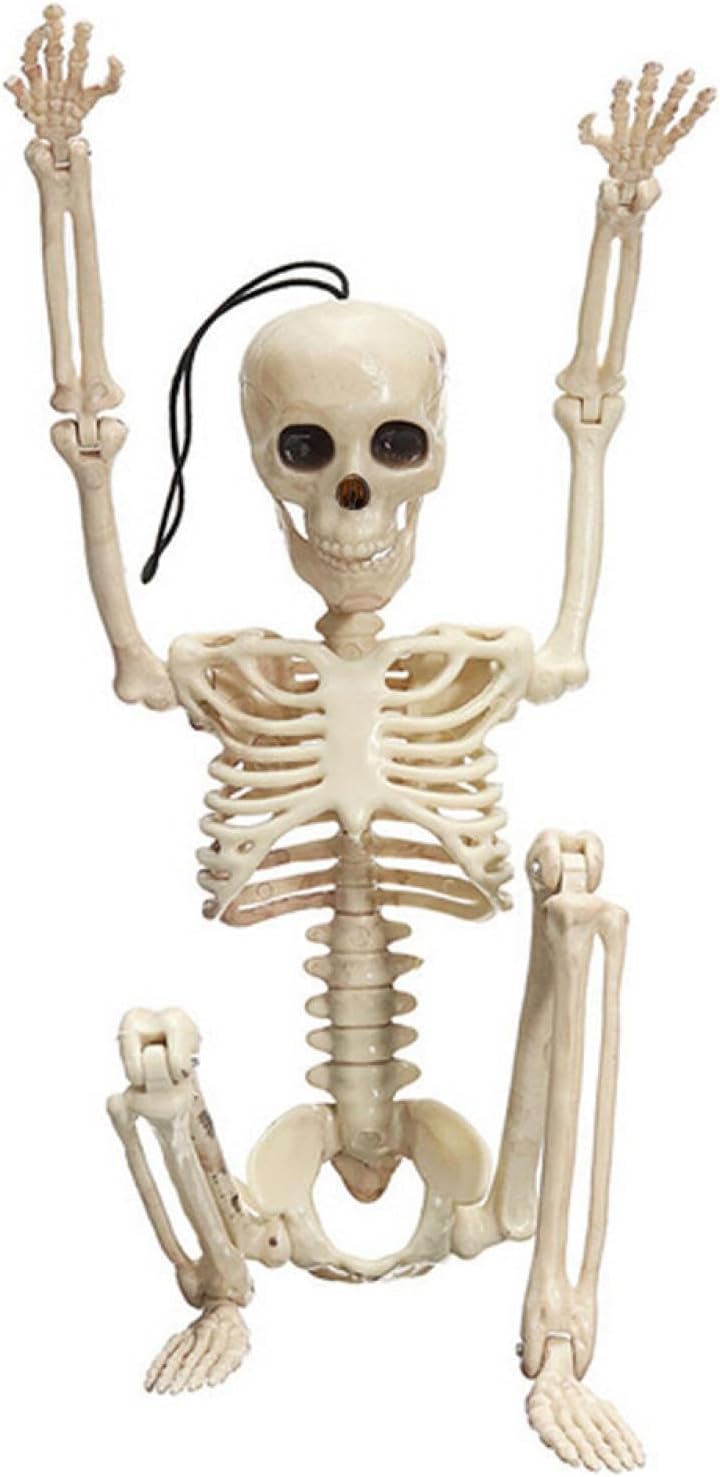 Esqueletos humanos de tamaño real para Halloween, esqueletos para adultos, huesos humanos de plástico con articulaciones móviles (blanco)