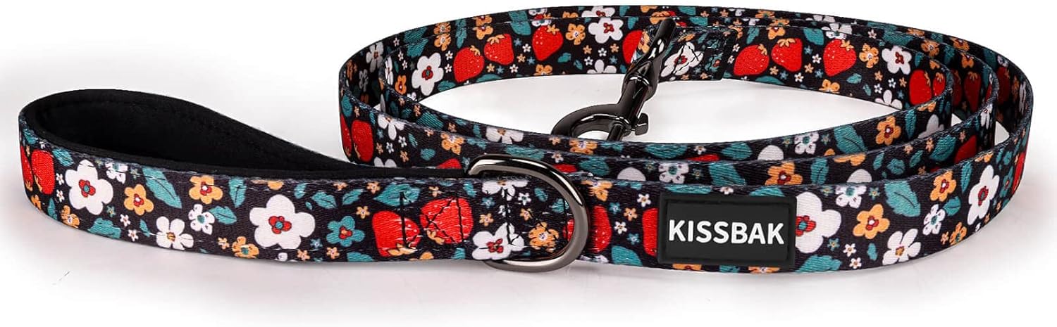 KISSBAK Correa para perros grandes, cómodas asas acolchadas, correa de entrenamiento de perros con girasol floral de primera calidad, correa para