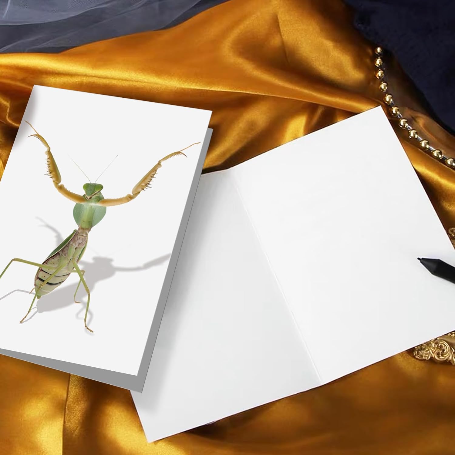 Divertida tarjeta de felicitación de mantis rezando, tarjeta de cumpleaños con arte de Mantis con cable, tarjeta de insectos para niños, amigos,