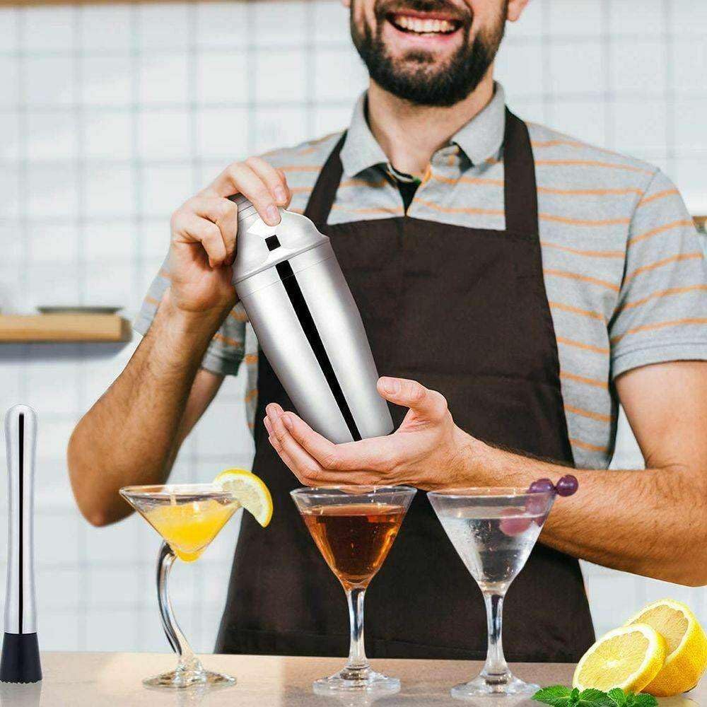 SDQF – Juego de coctelera de 10 piezas, 25.4 fl oz, colador de martini, kit de barman para bar, bebidas alcohólicas, coctelera, accesorios de bar,