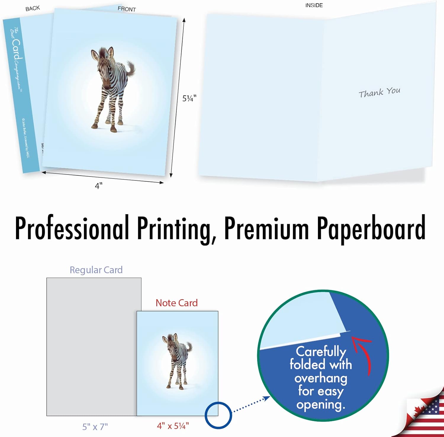 The Best Card Company, Zoo Babies – 10 tarjetas de agradecimiento en caja (4 x 5.12 pulgadas) – Animal Baby Thank Yous con sobres M6726TYG