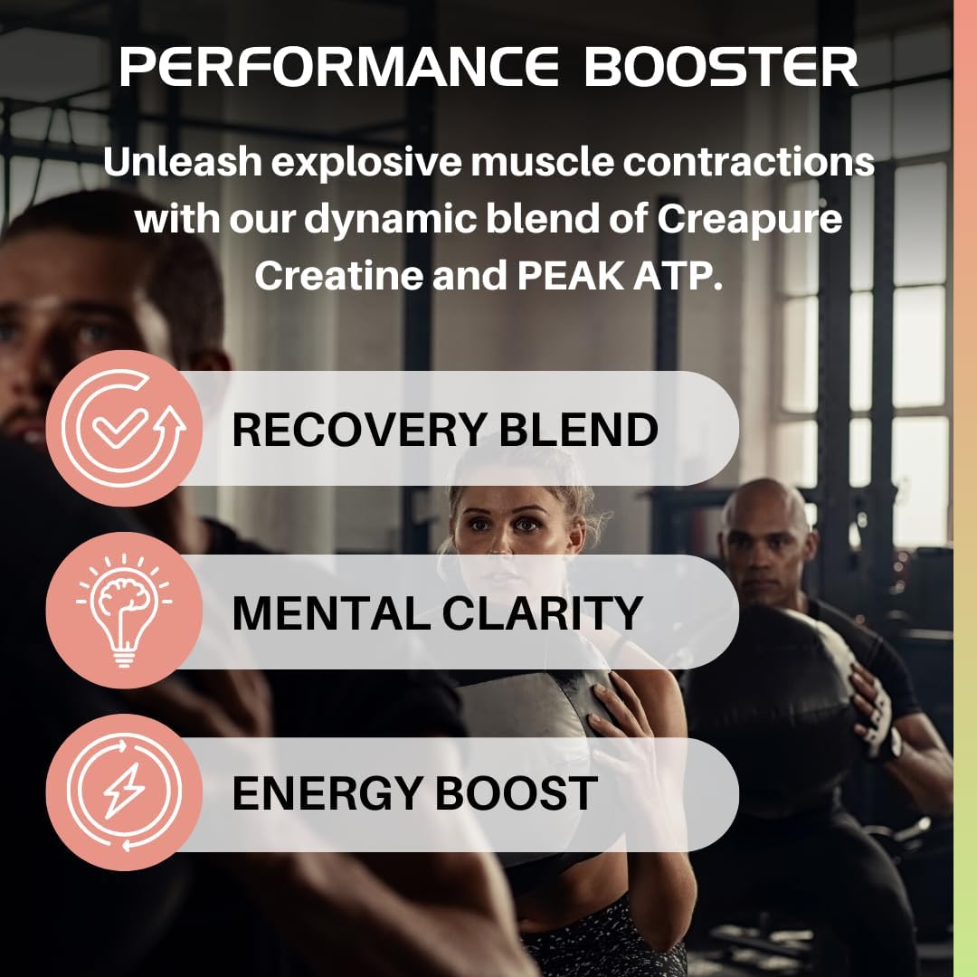 BLACKLABEL Supplements – Pure Power – Suplemento dietético preentrenamiento – Potenciador de rendimiento – Sin estimulantes – Constructor muscular –
