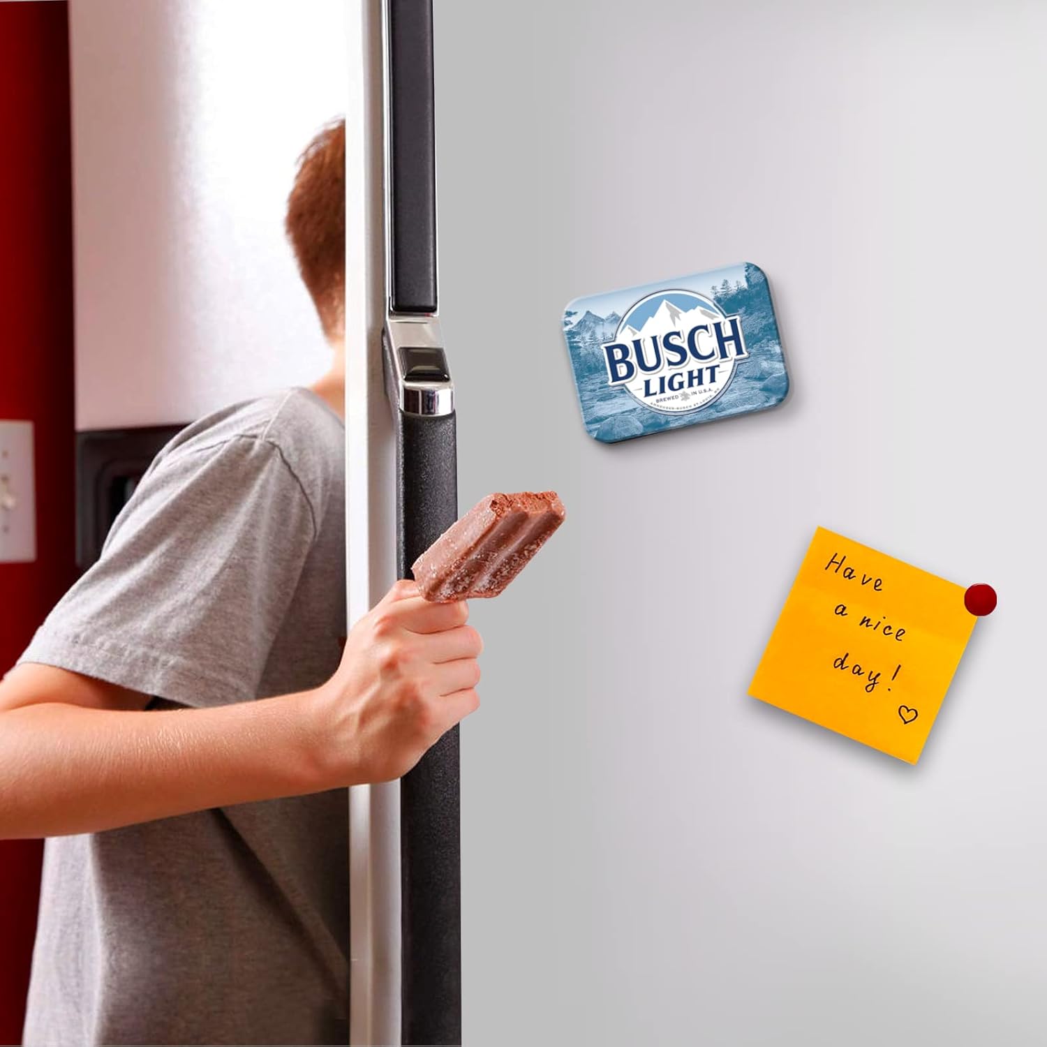 Desperate Enterprises Busch Light – Imanes divertidos para la oficina, el hogar y la escuela, fabricado en los Estados Unidos