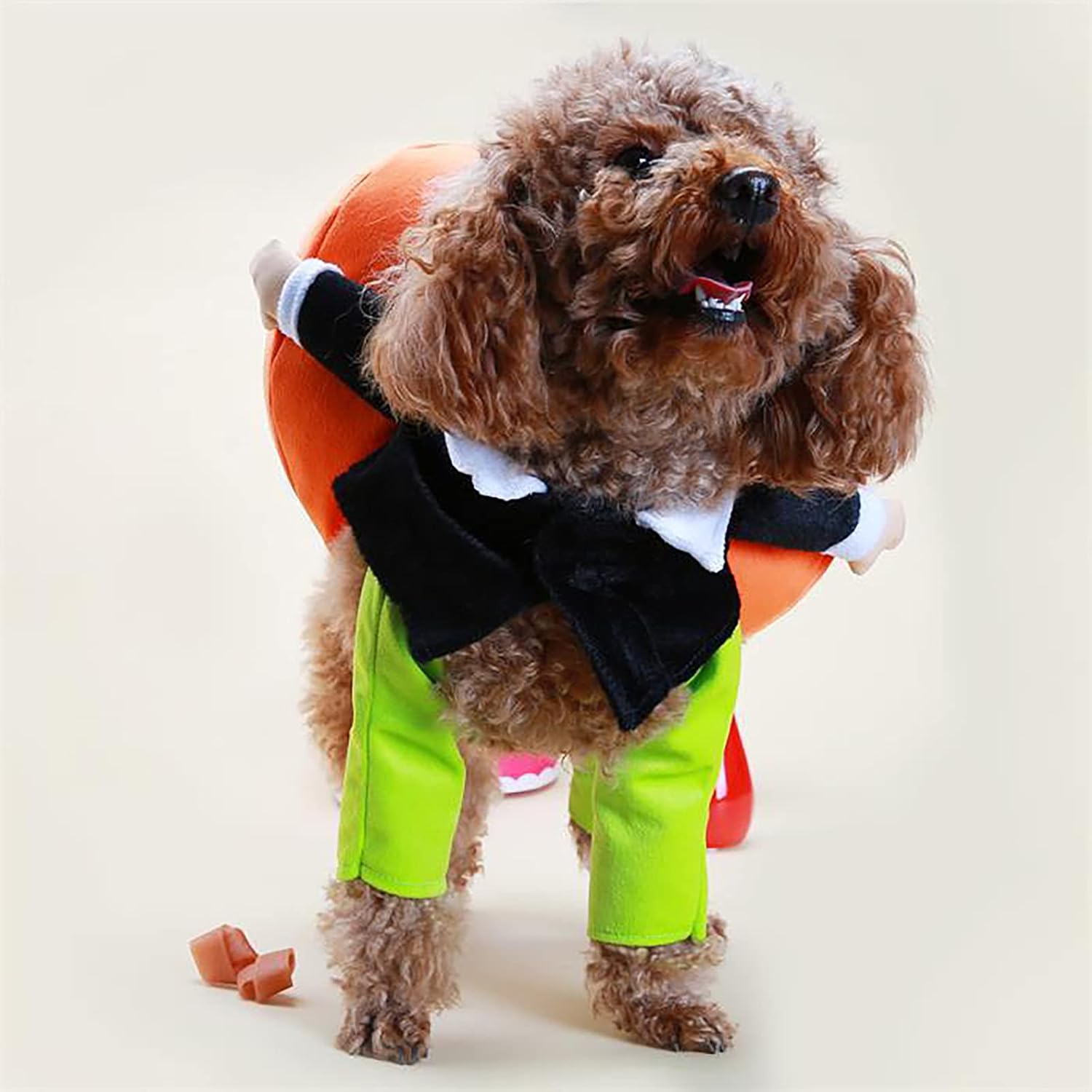 Disfraz de calabaza de Halloween para perro y gato, divertidos disfraces de Halloween para gatos y perros pequeños, disfraz de mascota, perro, gato,