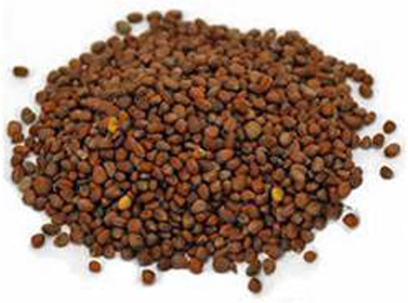 Rábano, Microverde, brotando, 6 onzas, sin OMG – Country Creek LLC Brand – Alta germinación de brotes – Semillas comestibles, jardinería,