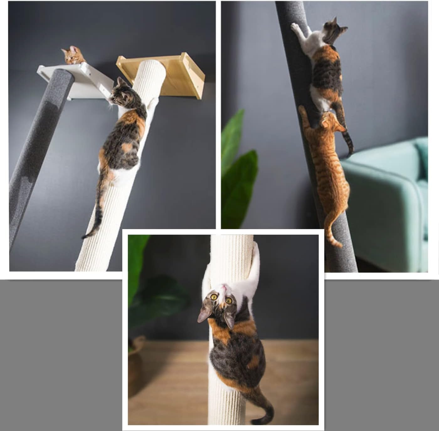 Alfombra moderna de pared inclinada de 78.7 pulgadas de alto, torre de árbol para gatos, pilar rascador con cama para gatos, hamaca perca, poste de