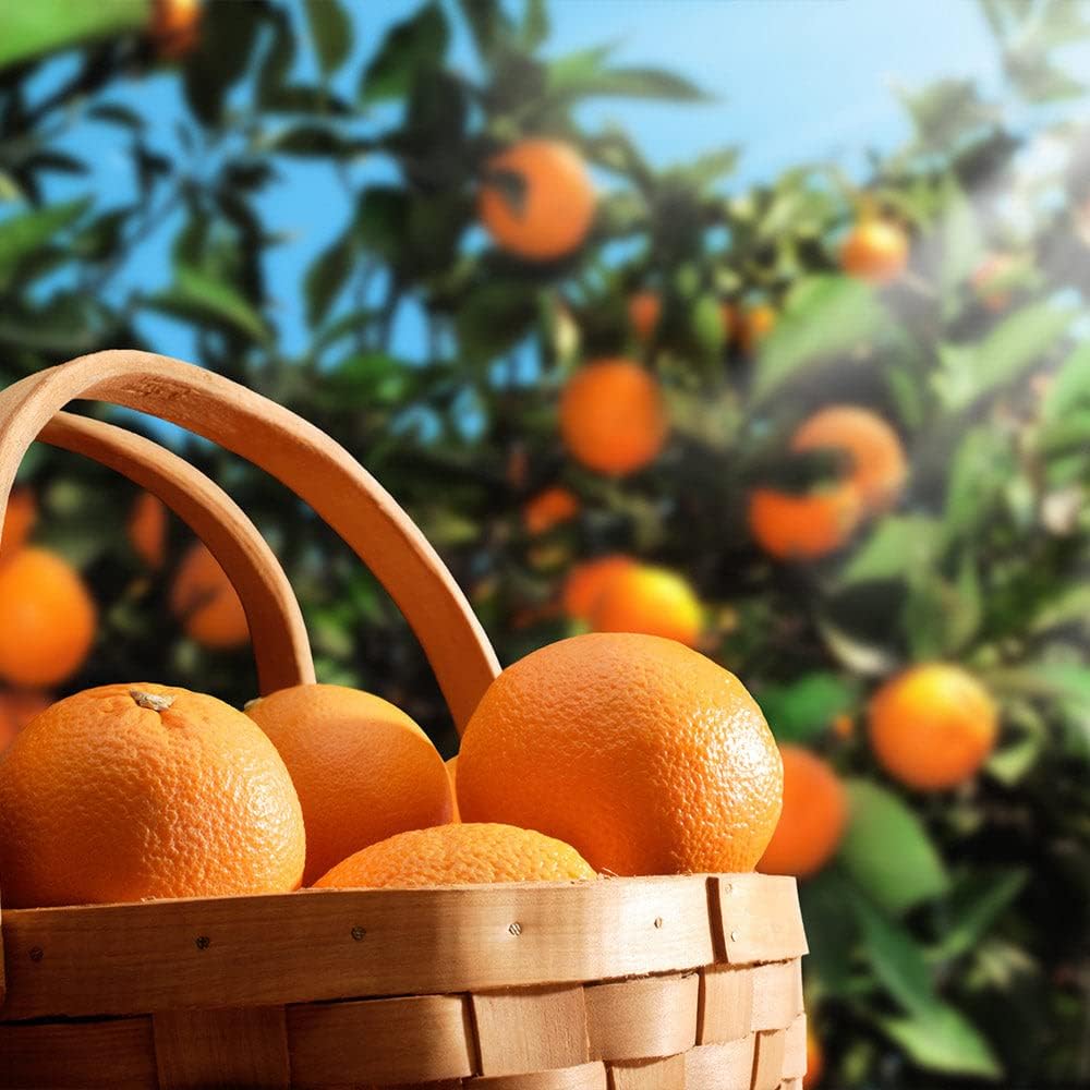 ‘s Premium Orange Tree – Mezcla de tierra para macetas de drenaje rápido para cultivar y trasplantar Citrus Sinensis – 3 cuartos de galón