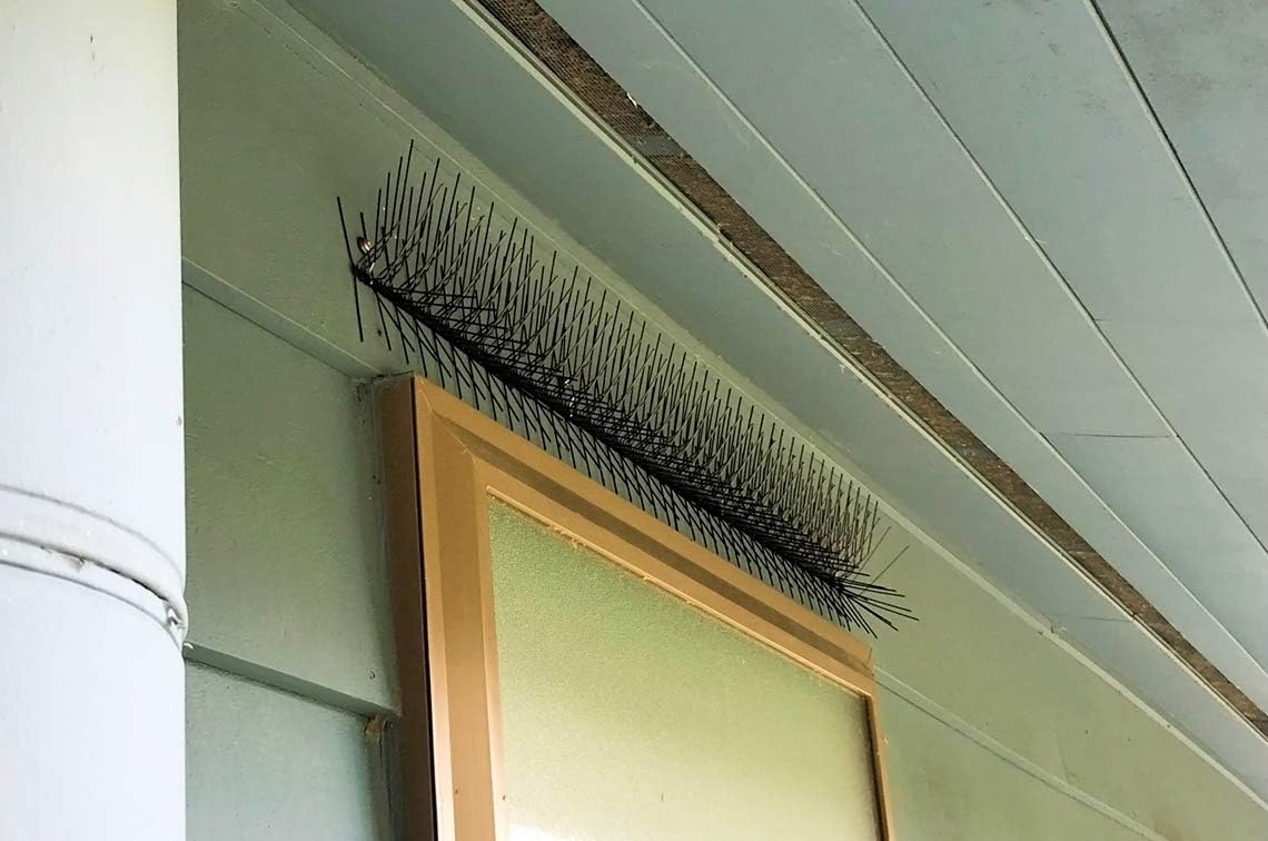 Picos para pájaros montados en la pared Premium Modelo W (tiras de 8 pies, 4-2 pies)