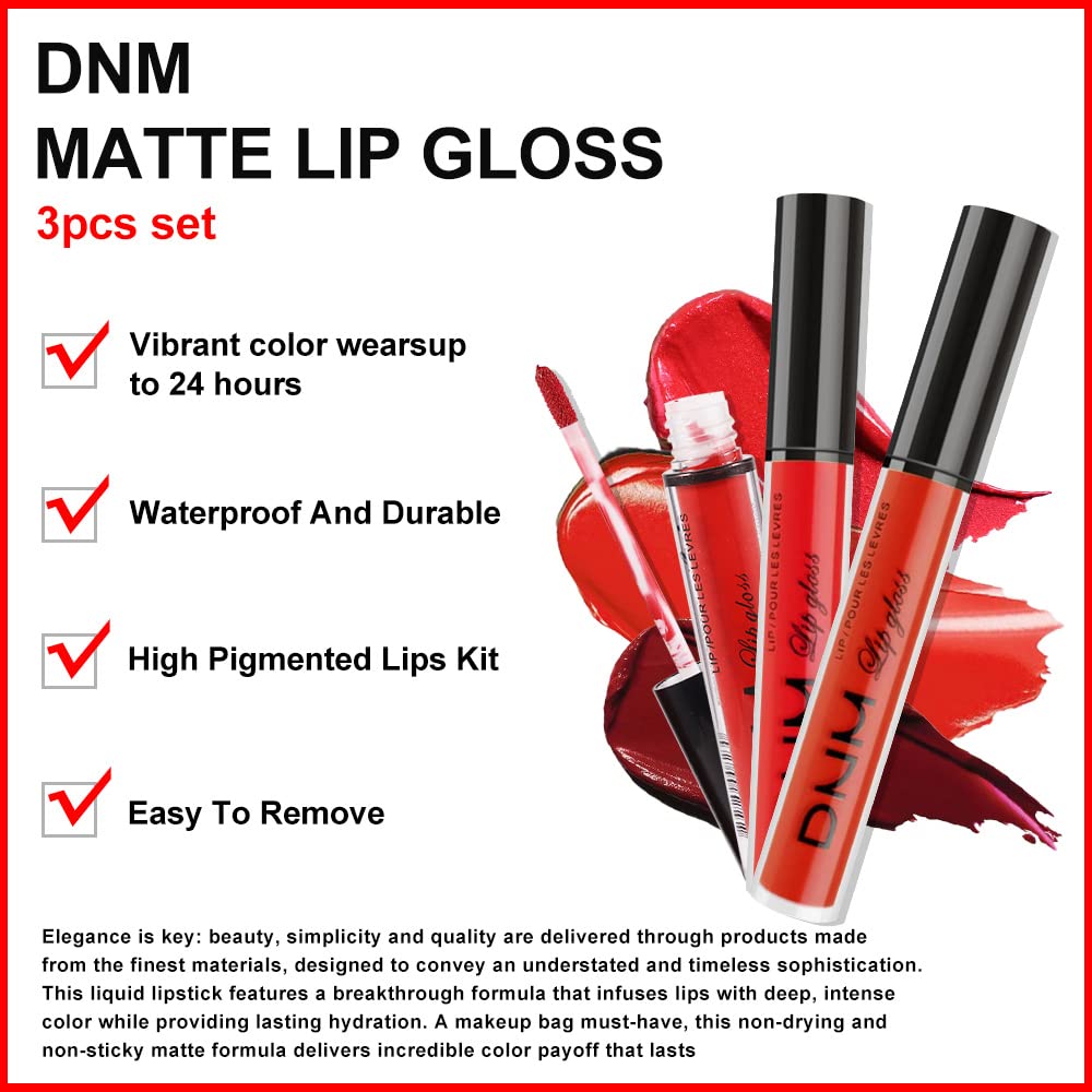 Amy’s Diary – Juego de 3 lápices labiales líquidos mate de 24 horas a prueba de manchas, DNM rojo oscuro mate, brillo labial de larga duración,