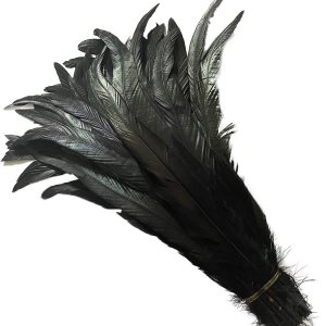 LONDGEN 50 plumas de cola de coque de gallo natural de 12 a 14 pulgadas para actuaciones escénicas y decoración de disfraces (negro) LONDGEN 50 plumas de cola de coque de gallo natural de 12 a 14 pulgadas para actuaciones escénicas y decoración de disfraces (negro)