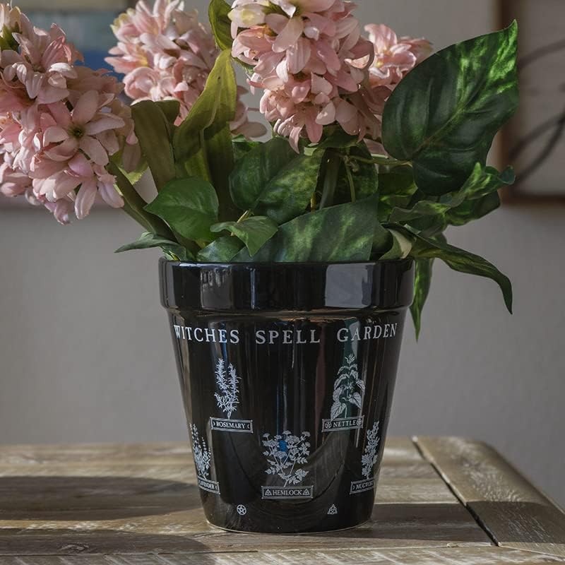 Ebros Gift Wicca Witchcraft – Maceta gótica de cerámica negra mágica, maceta floral de alquimia oculta, maceta de alquimia, pulgar, verde,