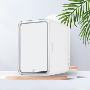 ROLTIN Mini refrigerador para dormitorio, con espejo LED, mini enfriador de capacidad de 8 litros, frío y caliente, refrigerador de coche de doble ROLTIN Mini refrigerador para dormitorio, con espejo LED, mini enfriador de capacidad de 8 litros, frío y caliente, refrigerador de coche de doble