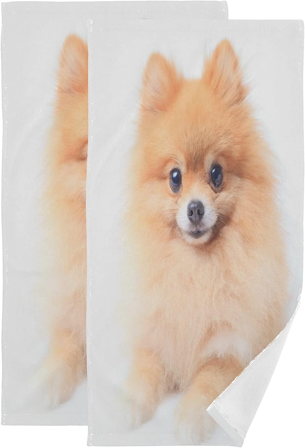 ALAZA Juego de 2 toallas de mano para perro, suaves, absorbentes, decorativas, para baño, gimnasio, hotel, spa, 28 x 14 pulgadas
