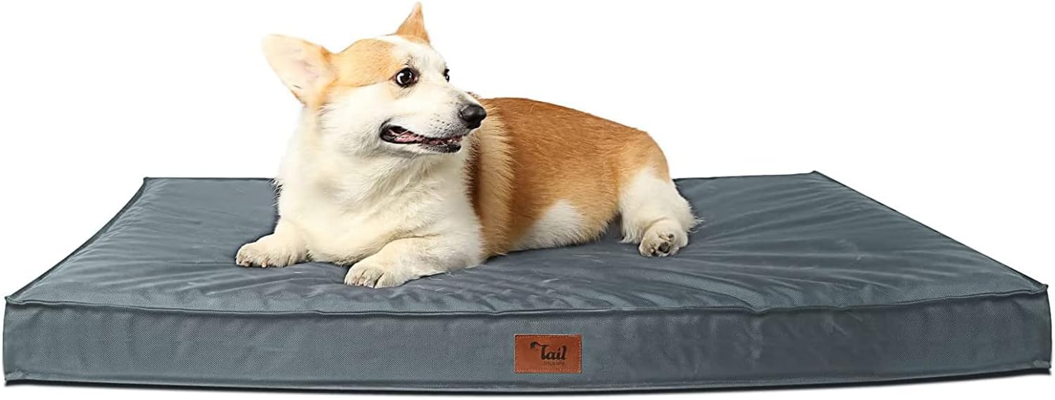 Tail Stories Cama para perros para todo tipo de clima, cama impermeable para perros grandes, cama ortopédica de espuma de huevo para mascotas con