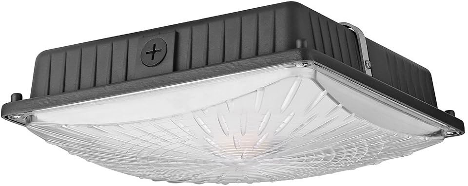 1000LED Paquete de 4 luces LED para toldo, 65 W, lámparas de techo de 8000 lúmenes, luz diurna 5000 K, reemplazo HIDHPS de 250 W, estación de