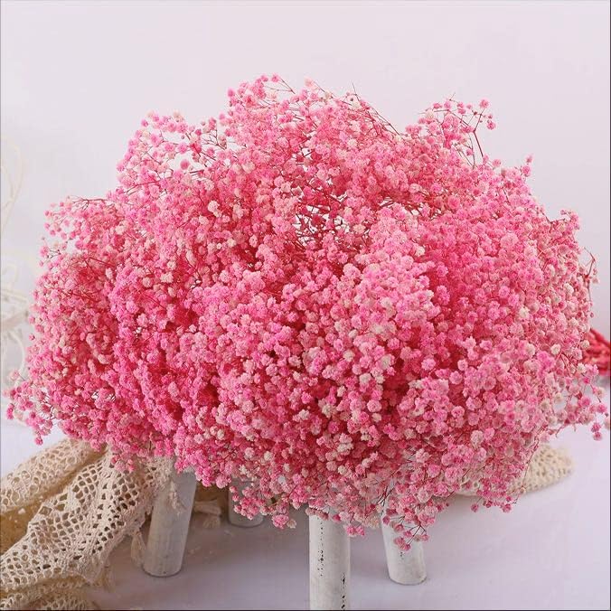 Ramo de flores secas de aliento de bebé, 17 pulgadas, más de 2500 flores secas de color rosa marfil, ramas de gypsophila naturales para bodas,