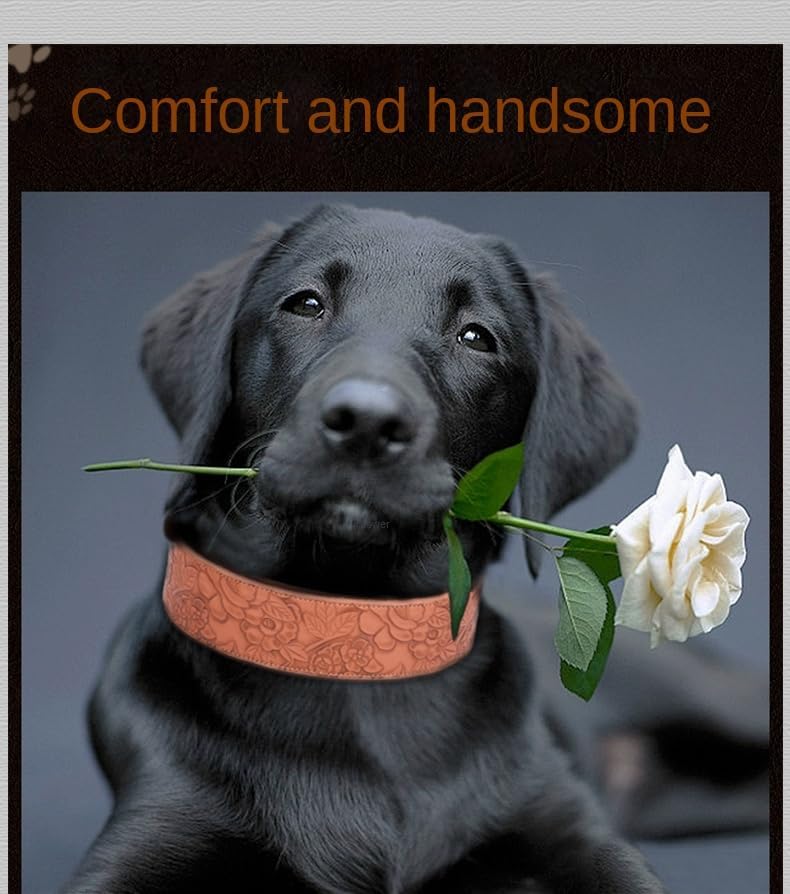 Collar de cuero para perros, para perros grandes, medianos y perros pequeños, collar de piel sintética para perros, collares de cuero con estampado