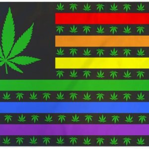 MJ USA – Bandera de poliéster (arcoíris) de 3 x 5 pies – Banner Rainbow Pride MJ USA – Bandera de poliéster (arcoíris) de 3 x 5 pies – Banner Rainbow Pride