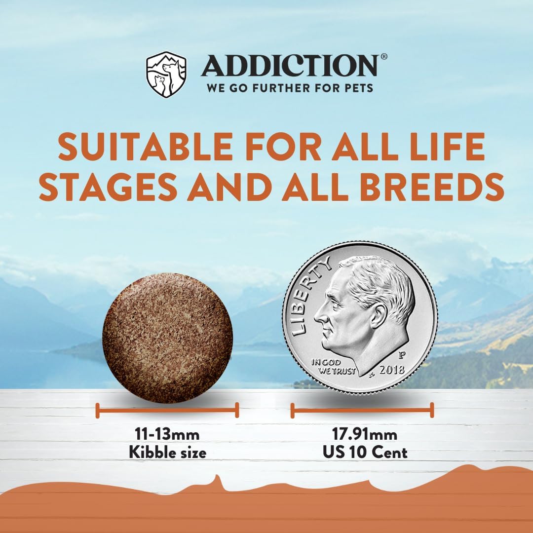 Addiction Wild Kangaroo & Apples – Alimento seco para perros – Proteína novedosa de ingredientes limitados – Control muscular y de peso – Sin granos