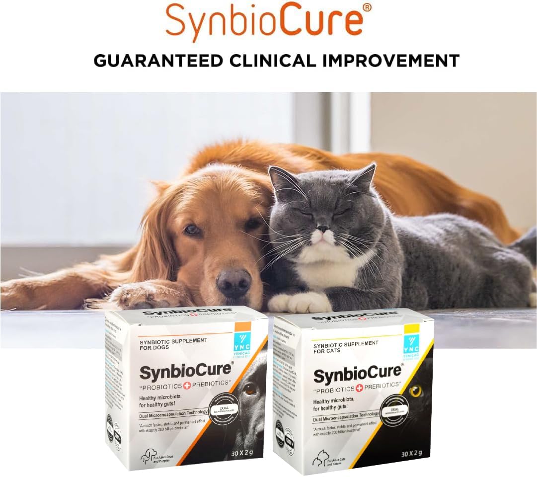 I Probióticos y prebióticos para gatos I Polvo Suplemento para gatos I Apoyo a la salud digestiva I 200 mil millones de bacterias por bolsita I 30