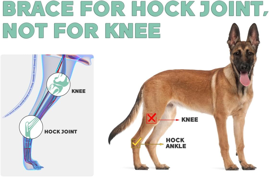 Lyderpet Soporte de pierna de perro para articulación trasera de corvejón, envoltura de compresión fuerte apoyo para pierna trasera para lesiones y