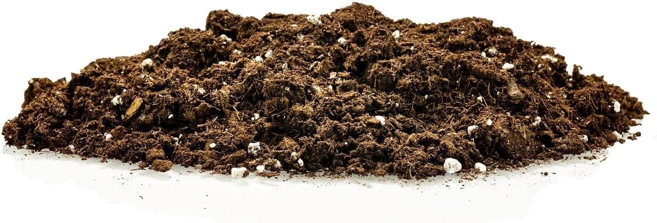 GARDENERA Mezcla para macetas purificadora de aire, 1 cuarto de galón, tierra para macetas para potos, palmeras de salón y lirio de la paz, hecha