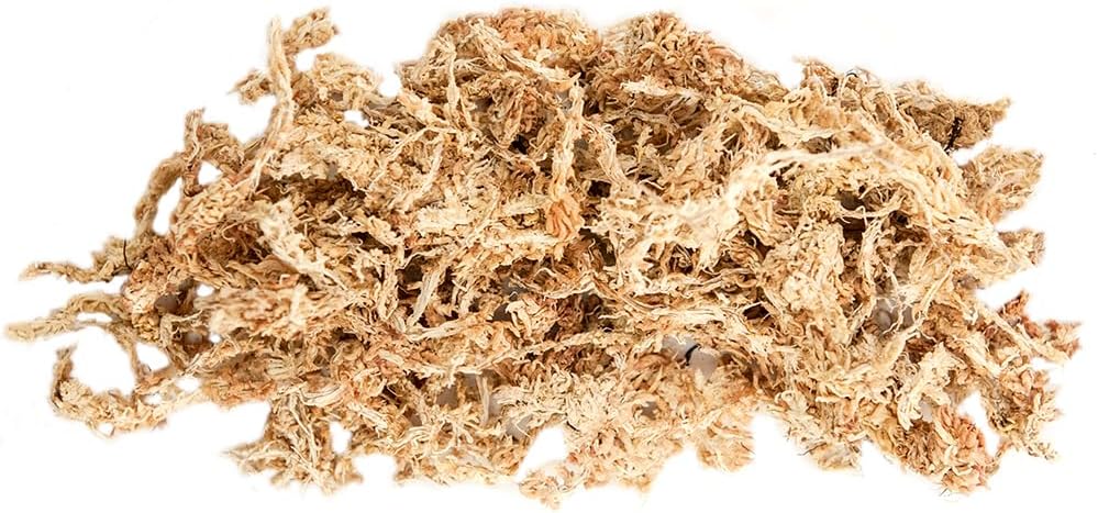 SuperMoss – Musgo seco para orquídea sphagnum seco