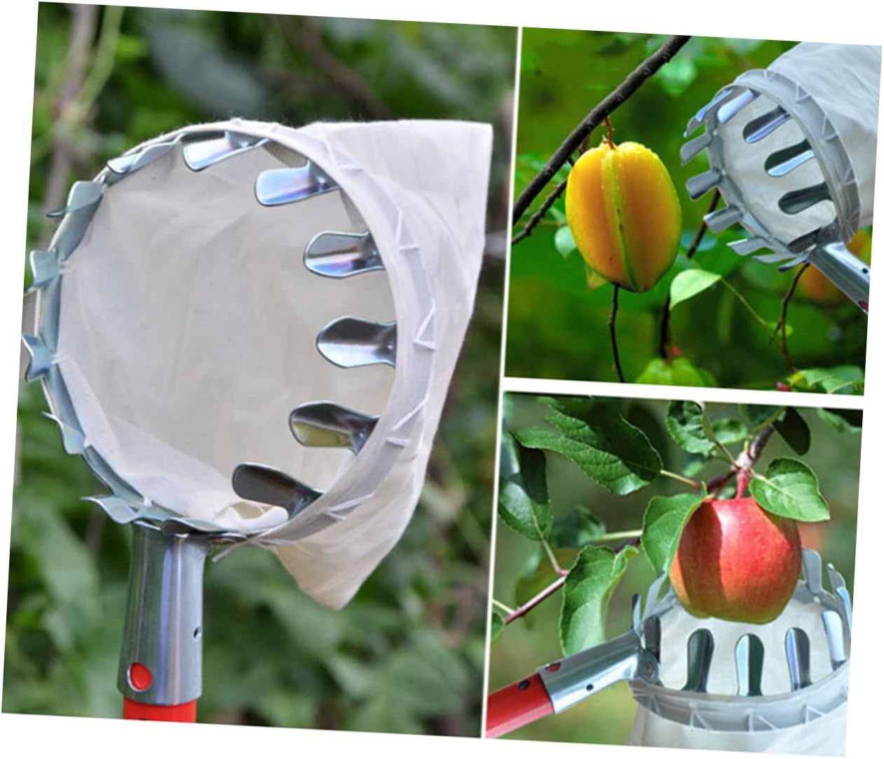 Yardwe Recogedor de nueces, recogedor de frutos secos, recogedor de frutas, herramienta de recogida de frutas, herramienta para recoger árboles