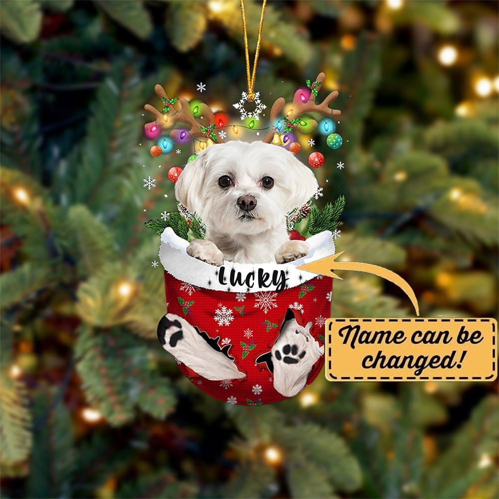 Adorno de Navidad de perro maltés blanco personalizado en bolsillo de nieve, adorno para árbol de Navidad, idea de regalo para amantes de los