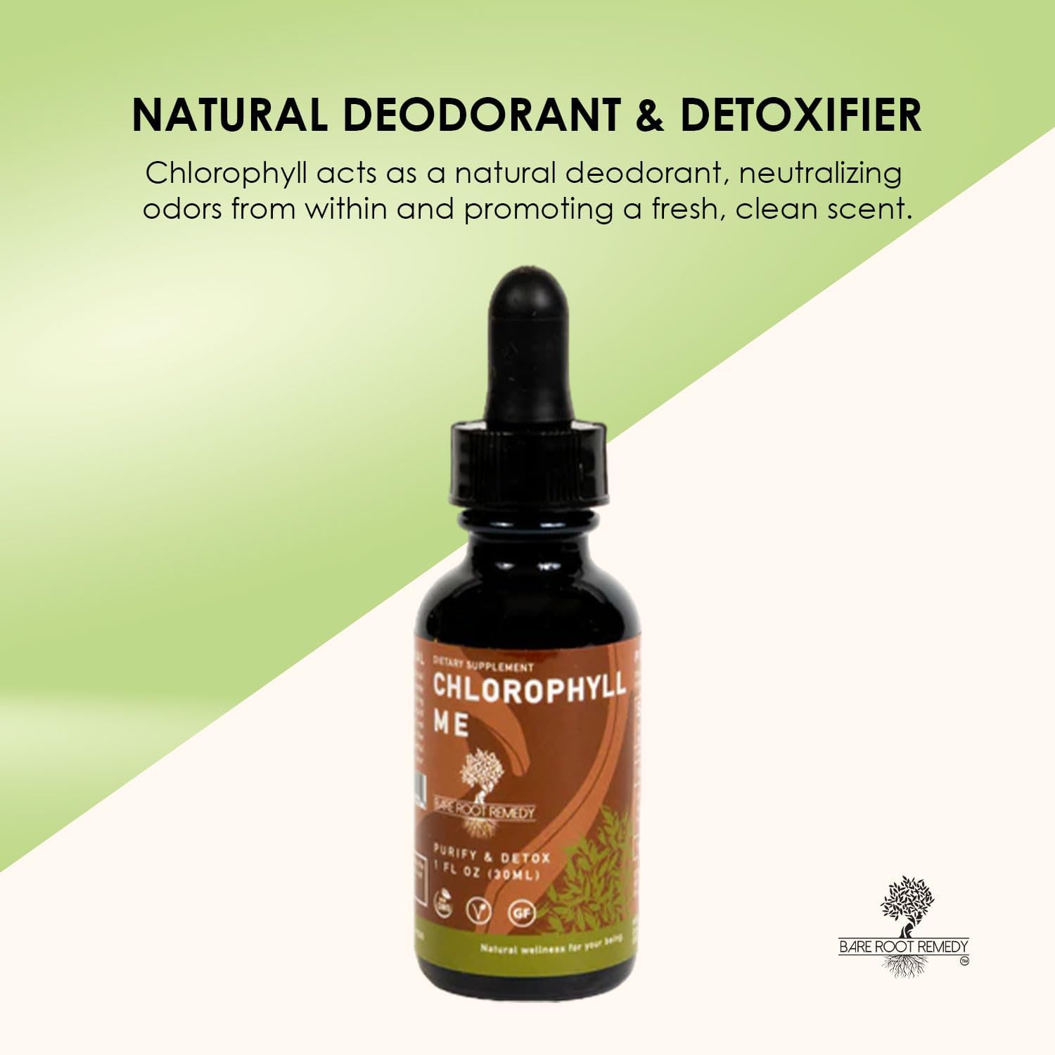 Chlorophyll Me, Clorofila líquida – Orgánico, desoderante y desintoxicante natural, estimulante inmunológico, sabor fresco y menta