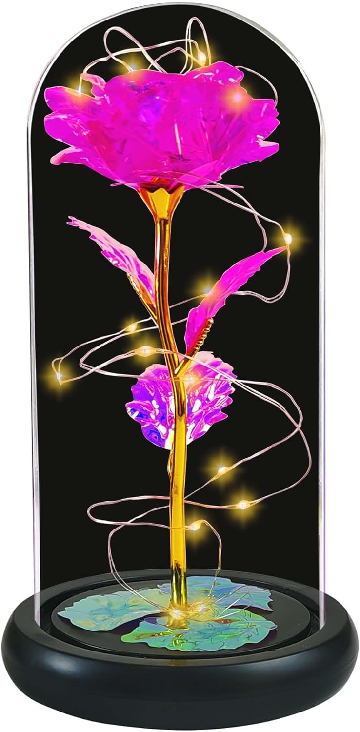 Jeekgsk Regalos de cumpleaños para mujeres, regalos de flores para ella, dura para siempre en una cúpula de cristal, rosas artificiales cálidas,