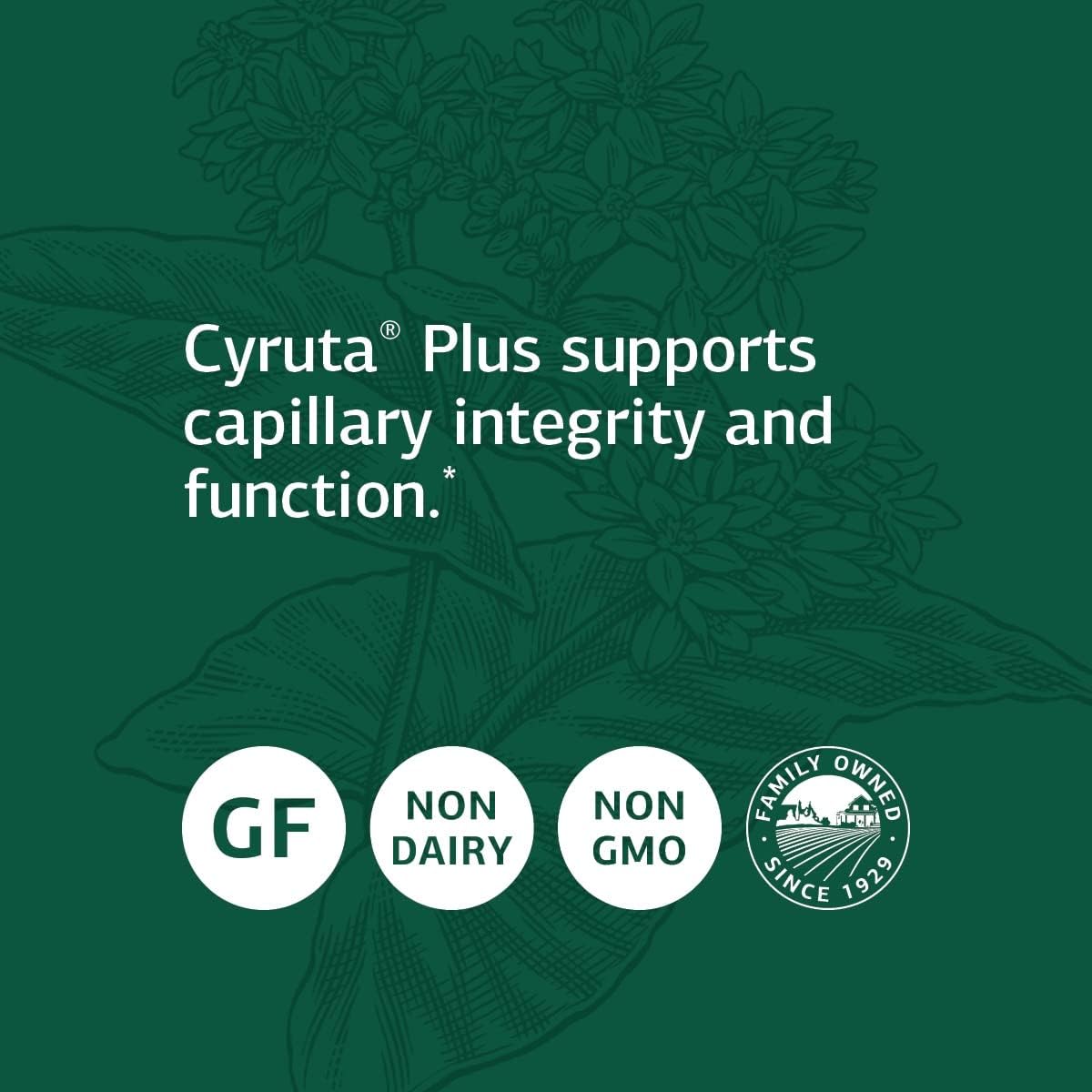 Standard Process Cyruta Plus – Suplementos integrales de colesterol, apoyo inmunológico, salud cardíaca con ácido ascórbico y harina de avena, 90
