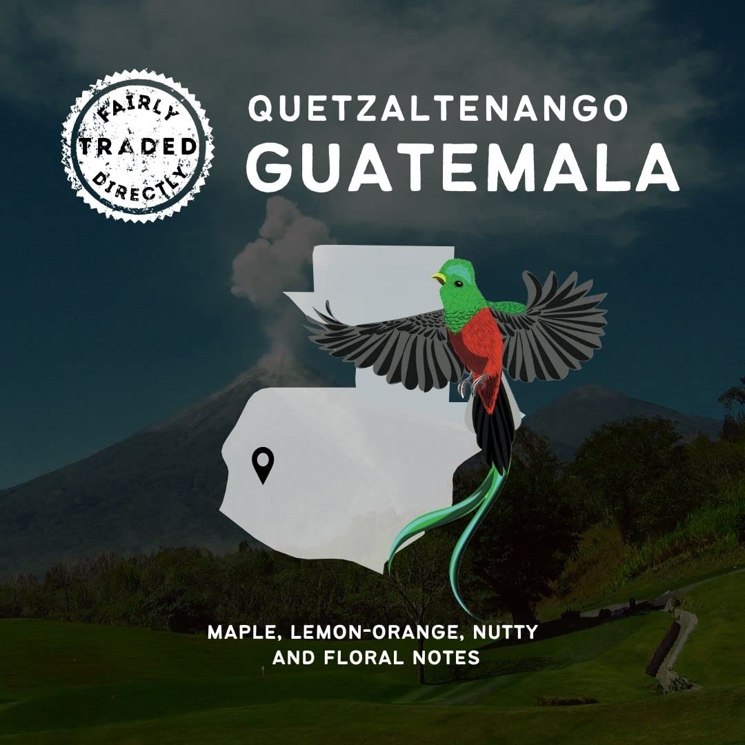 Canopy Point Coffee – Guatemala tostado medio – Recién molido, origen único, café tostado al aire especial en lotes pequeños, tostado medio gourmet,
