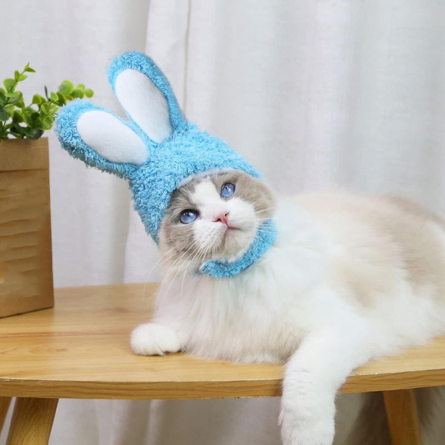 Lindo disfraz de Pascua, sombrero de conejo con orejas para gatos y perros pequeños, accesorio para mascotas, accesorio para la cabeza, 1 unidad