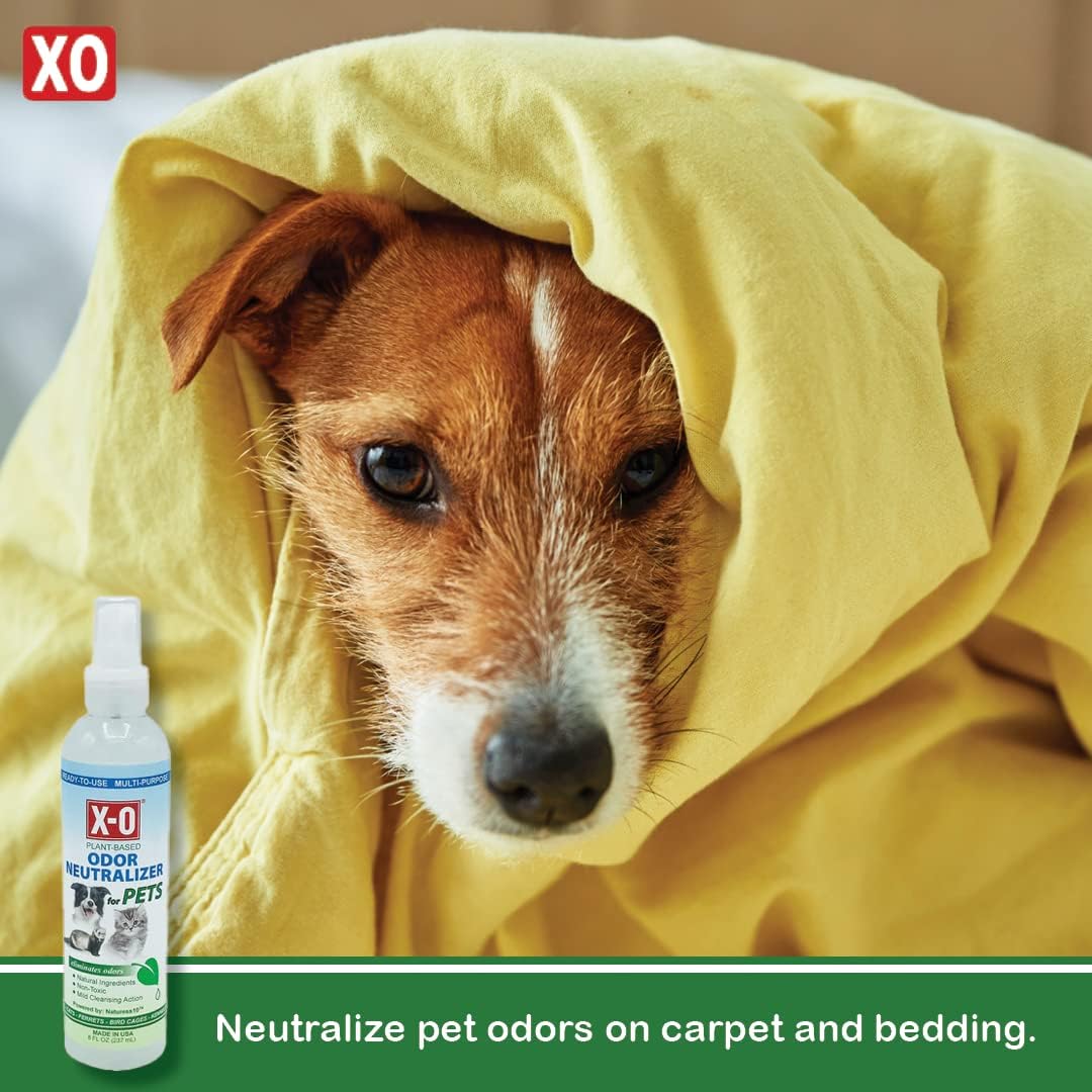 X-O Desodorizante natural para mascotas, a base de plantas, listo para usar, 8 onzas, neutralizador eficaz de olores de mascotas, seguro para todos