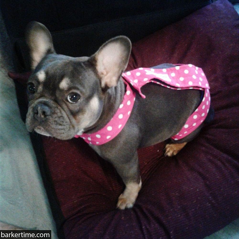 Pañal para perro de alta calidad, impermeable, a prueba de escapes, con lunares rosados sobre negro, talla M, sin agujero para la cola, fabricado en