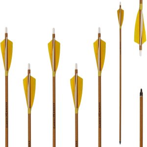 Archery – Flechas de carbono 500 columna vertebral con plumas helicoidales reales y puntas extraíbles para arco recurvo compuesto (paquete de 6) Archery – Flechas de carbono 500 columna vertebral con plumas helicoidales reales y puntas extraíbles para arco recurvo compuesto (paquete de 6)