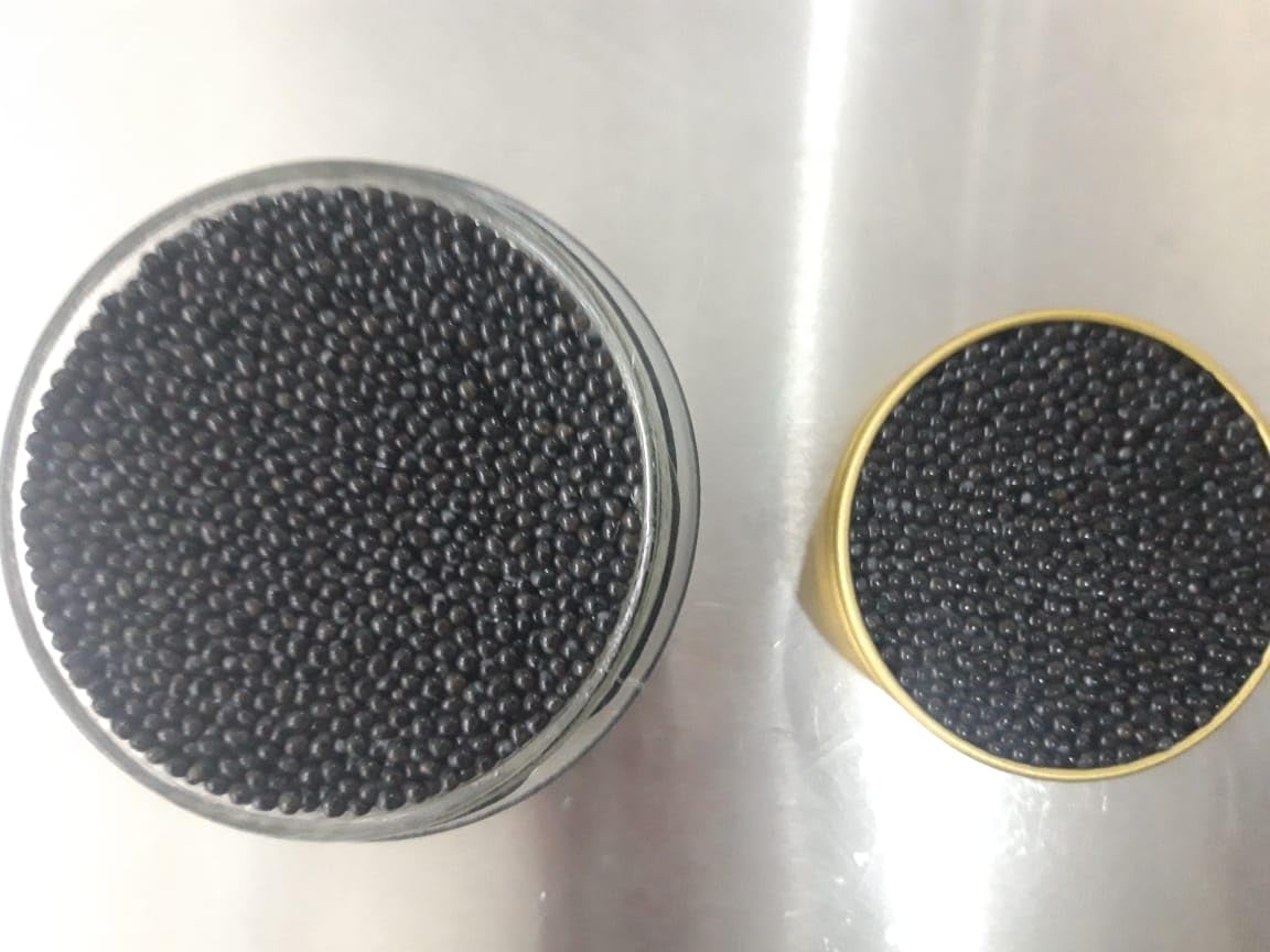 Bermudys Osetra Caviar, 3.53 oz de estaño. Noble Ossetra Caviar Negro Malossol Acipenser Gueldenstaedtii Roe