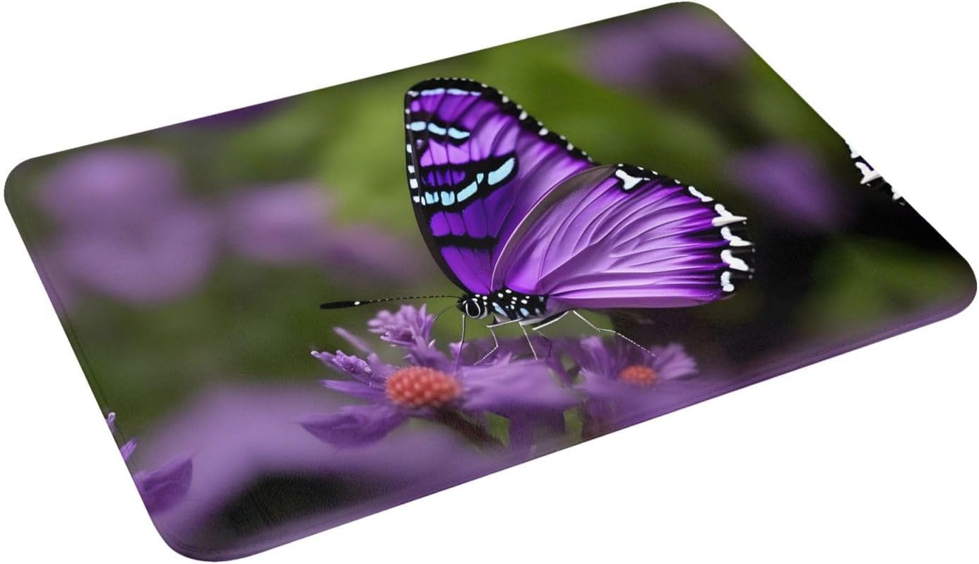 Tapete de puerta con diseño de mariposa morada para puerta exterior, fácil de limpiar, tapete de patio, 16 x 24 pulgadas