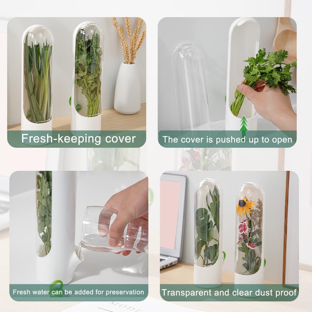 Recipientes de cilantro para refrigerador, contenedor de espárragos para refrigerador, contenedor de hierbas frescas para cilantro, menta, perejil,