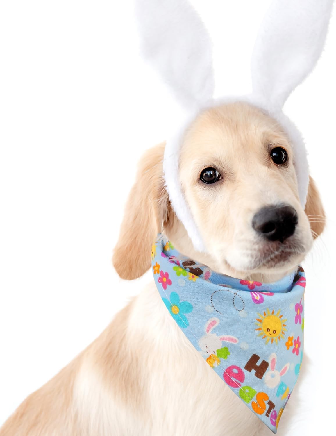2 pañuelos de Pascua para perro, bufanda colorida de Pascua para perro, cómoda y bonita, conejo, elementos de conejo, bandana para mascotas,