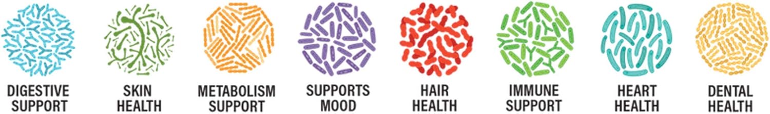 Foods For Gut Bifidobacterium Lactis Probiotic Powder 500 mil millones de ufc de 1.06 oz  Apoyo digestivo e inmunológico  Alta potencia  B. Lactis