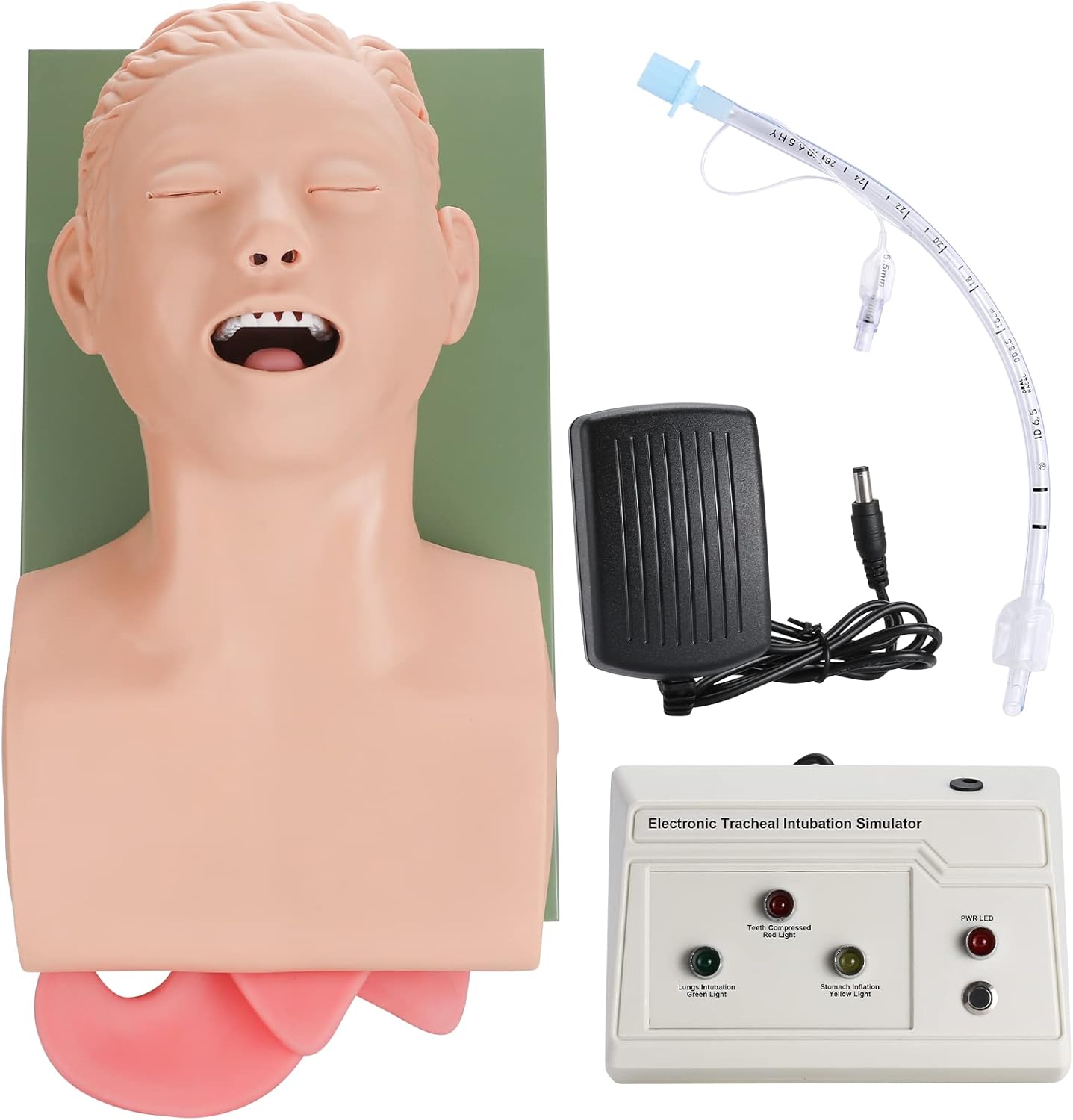 ANNWAH Maniquí de simulador de intubación traqueal Manejo de las vías respiratorias Ayuda de enseñanza con tubo endotraqueal, modelo humano de