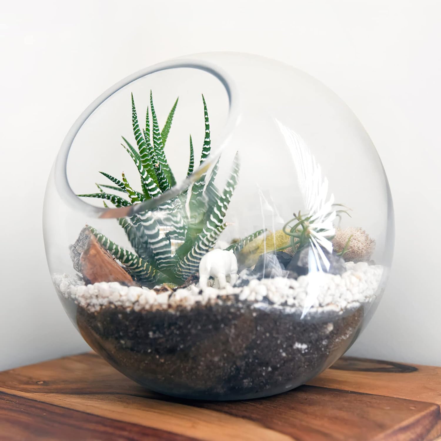 IMIKEYA Exhibición del terrario de la planta 3 unids de vidrio de terrario contenedores suculenta planta de aire plantador jarrones de vidrio
