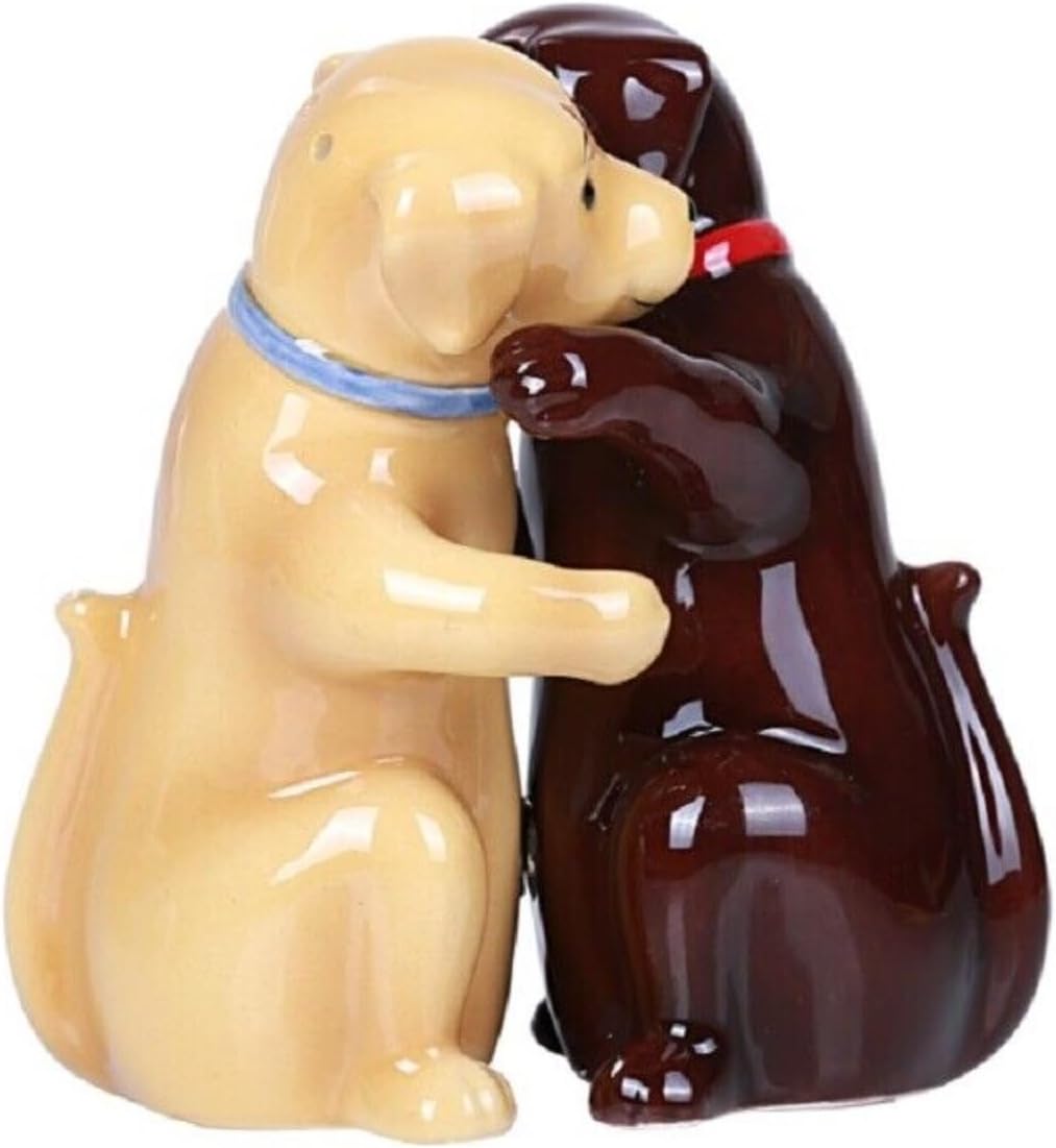 Pacific Giftware Hugging Labradors – Juego de saleros y pimenteros magnéticos de cerámica