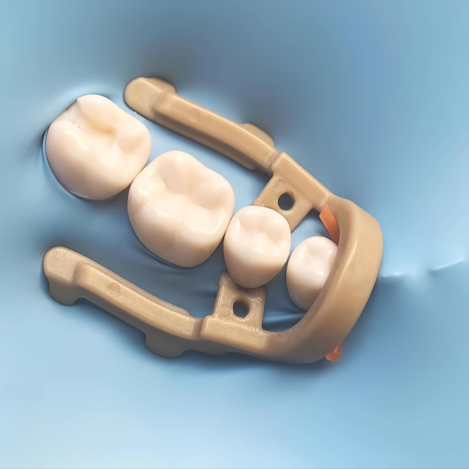 Abrazaderas dentales de la presa de goma, clip de resina premolar distal dental hojas de goma clips de barrera, herramientas de reparación de