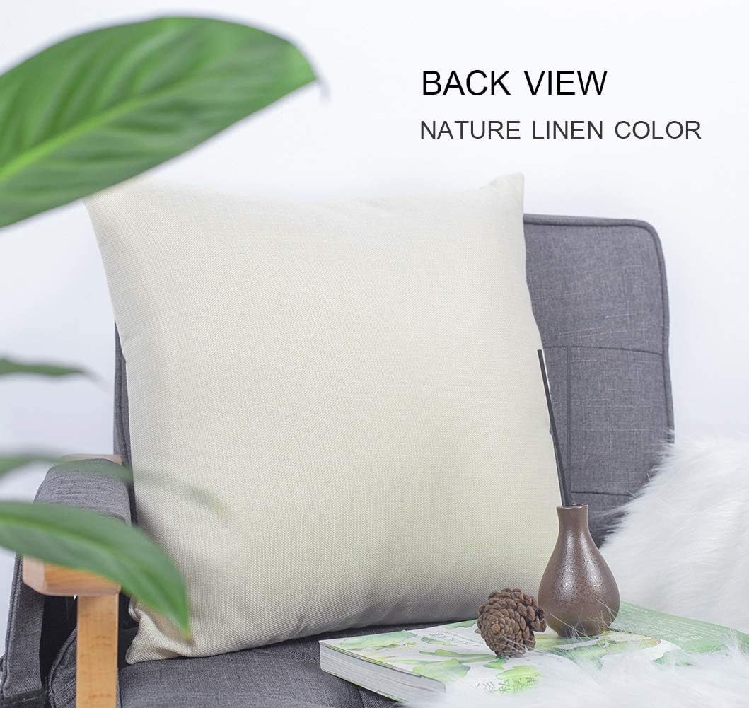 Decorative Linen Throw Pillow Cover Dry Landscape Cactus Southwestern Saguaro Silhouette Sundown Red Sky Nature Parks Outdoor Natural Cozy Cushion