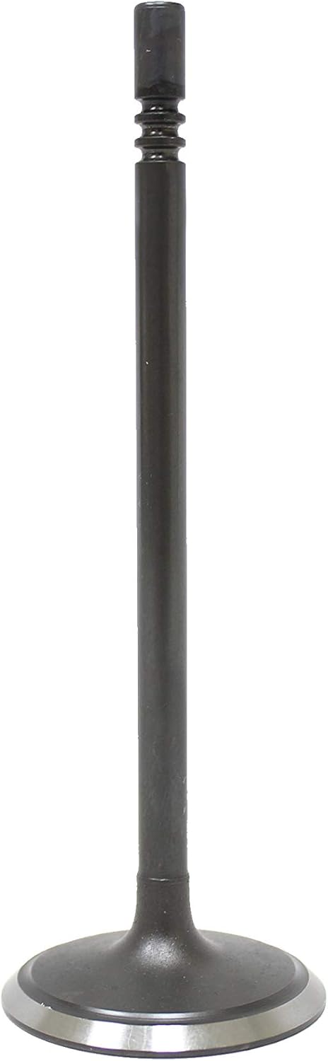 DNJ IV1169 Válvula de admisión para Chrysler, Dodge, Jeep, Ram  1500, 200, 300, Avenger, CV, Challenger, Charger, Durango, Grand Caravan, Grand